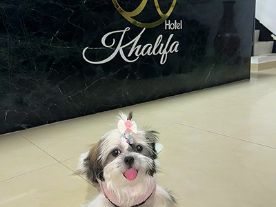 Hotel Khalifa - Neiva, Huila - image - 2